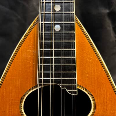 Washburn Bowlback Mandolin Stlye 215 - Brazilian Rosewood - Great Player -Org. Case - Clean! - Ships FREE!!! image 6