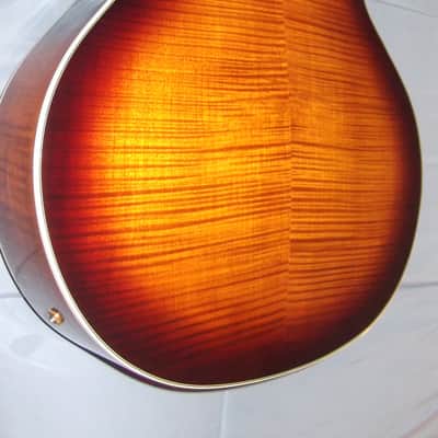 Devlin DV500 Archtop image 7