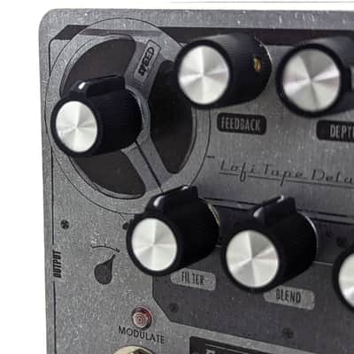 Raygun FX Echohead II - Tape Delay image 6