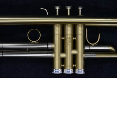 Selmer-Paris Concept TT 2009 - matt gold image 14