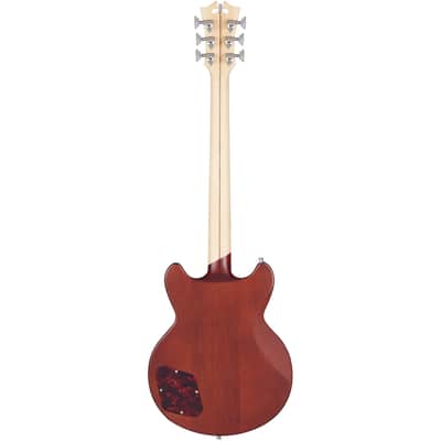 D'Angelico DADBRIMWLNS DELUXE BRIGHTON Double Cutaway Solid Body 6-String Electric Guitar w/Deluxe Hardshell Case image 2