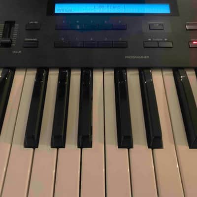 Korg DS-8 Digital Keyboard synthesizer 61 keys - pro studio image 3