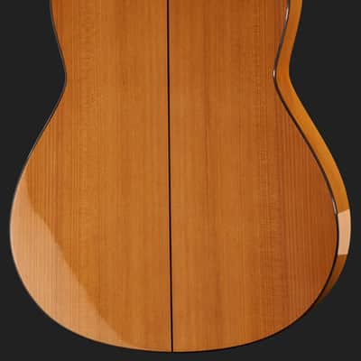 Juan Hernandez Profesor Spruce Flamenca Spanish Flamenco Guitar image 4