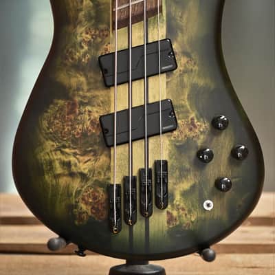Spector NS Dimension 4 - Haunted Moss Matte image 1