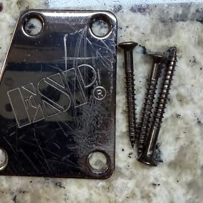 ESP Angled Neck Plate - image 2