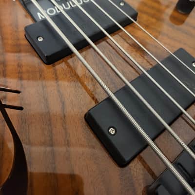 Modulus Quantum semi-hollow 2020 corca - Wood natural image 4