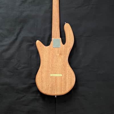 Ashby instruments custom 2025 image 4