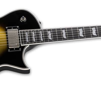 ESP LTD BK-600 Bill Kelliher Electric Guitar Vintage Silver Sunburst + ESP Case BRAND NEW BK600 - SEE PICS image 3