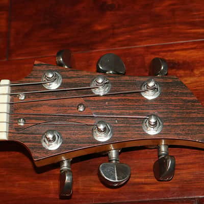 1970 Ampeg Dan Armstrong  (SKU:DAN0016) image 10