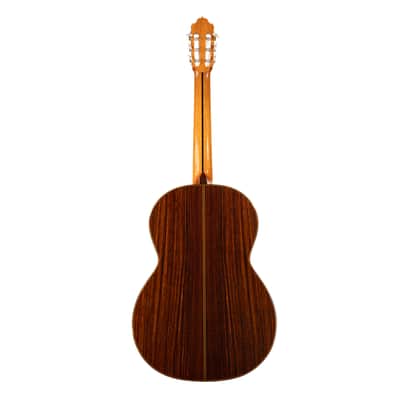 6 String Contrabass Guitar (Octave Bass) - Esteve PS75 - All Solid Wood/Cedar/Indian Rosewood - 750mm Scale Length image 2