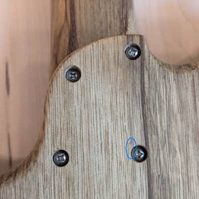 Four Winds JX72 Jazzmaster style Black Limba Stoptail Offset * Mojotone Firebird Pickups * USA Luthier Handmade image 21