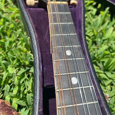 Gibson Style A-4 Mandolin 1913 - Black image 13