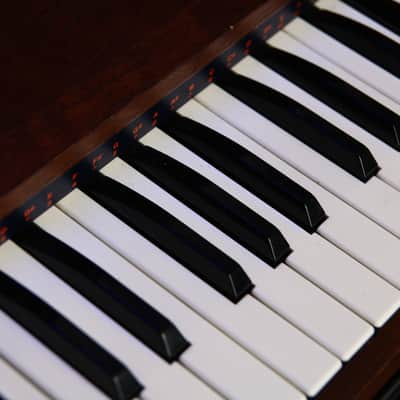 Immagine (Video) *Serviced* Rare GEM Rodeo 49 Vintage Combo Organ & Rhythm Preset Drum Machine w/Built-in Speaker | Italian Analog Synth Synthesiser Transistor Galanti Keyboard from 70s - 5