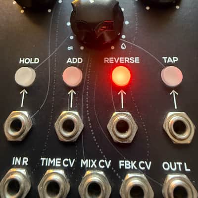 Erica Synths Digital Delay - Present - Black image 6