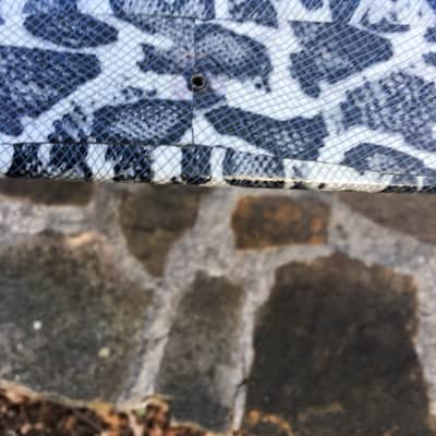KnE Charvel Dinky Snakeskin image 13