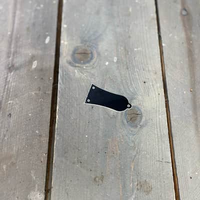 TGPS  Truss Rod Covers - Standard image 4