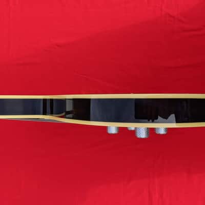 Waterstone TP-12 String Bass Morgan Blue image 7