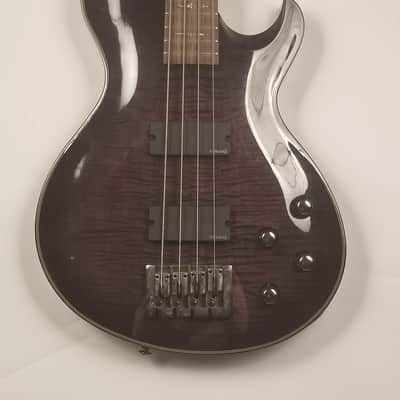 Schecter Diamond Series Damien Solo Elite 4-String Bass Guitar 2010 image 2