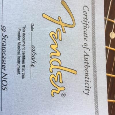 Fender Stratocaster NOS '59 Custom Shop 2014 daphne blue image 14