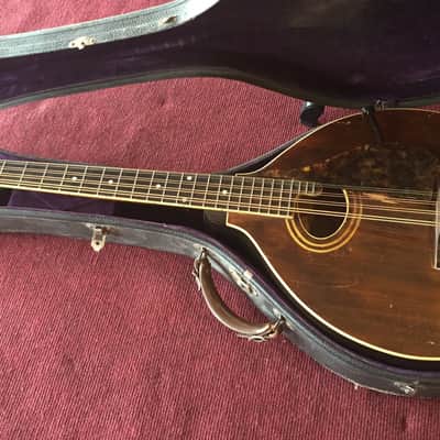 Gibson K1 Mandocello 1920 Brown image 1