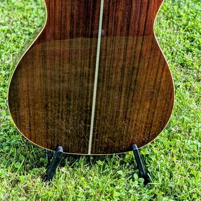 Danche Steel String Guitar 2024 - Lacquer image 2