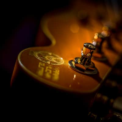 Electric guitar MihaDo GS T-Style image 15