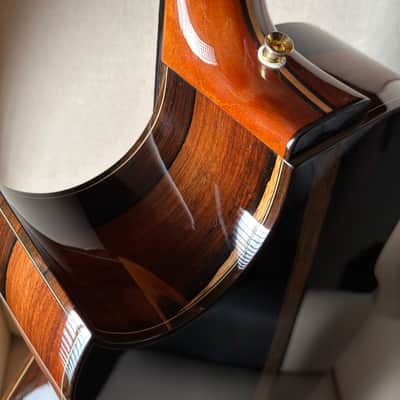 Brian Applegate SJ Fan Fret Multiscale Brazilian Rosewood image 9