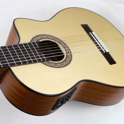 NEW Cathedral Model 107CEL 7-String Classical Harp Guitar w/Spruce Top, Pickup, Cutaway, w/SoftCase image 18