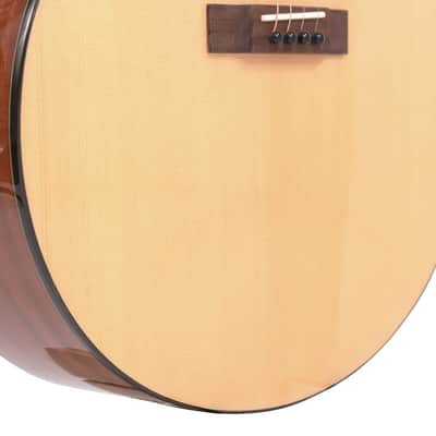Gold Tone TG-18/L Solid Spruce Top Mahogany Neck 4-String Acoustic Tenor Guitar w/Vintage Design & Hard Case For Left Handed Players image 3