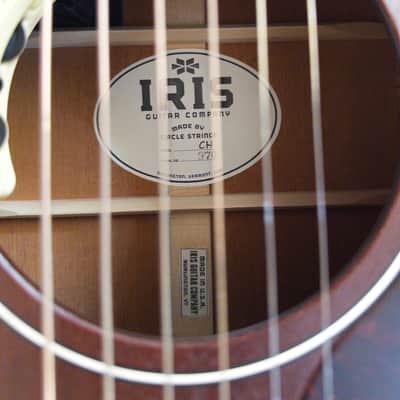 Iris CH 2024 with LR Baggs Anthem pickup - Natural Mahogany image 3