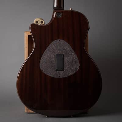 2007 Taylor T5-C2 Limited Macassar Ebony Top image 3