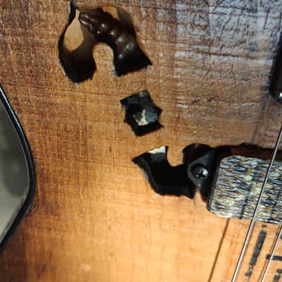 One-of-a-Kind Schoen Guitar – Ammo Box Wood, Bullet Casing Details, Rattlesnake Skin & Mad Max Vibes image 3