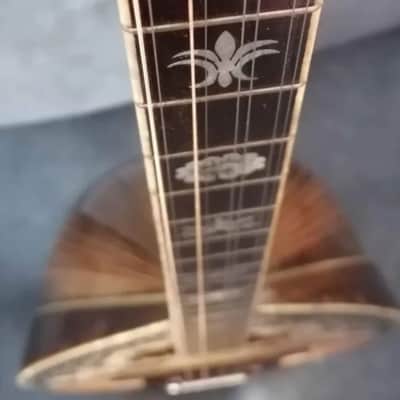 Greek bouzouki & Hardcase & pickup & tuner & 300 backing track with pdf scores 8 string image 4