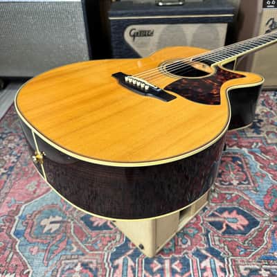 Takamine DMP050S OM Style w/Case and Candy 2012 image 19