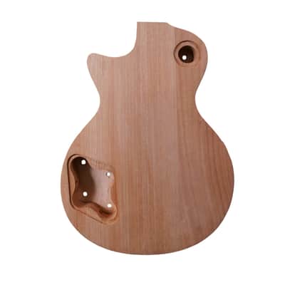 Les Paul Style Electric Guitar HH Body, Mahogany image 2