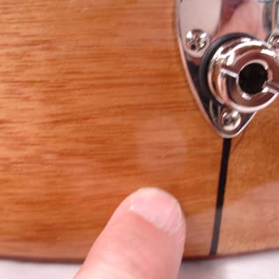 Gold Tone BZ-500 Irish Bouzouki Mandolin with Case image 4
