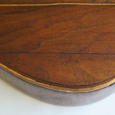 Mandolin by J. Murthwaite Newcastle 1901 image 25
