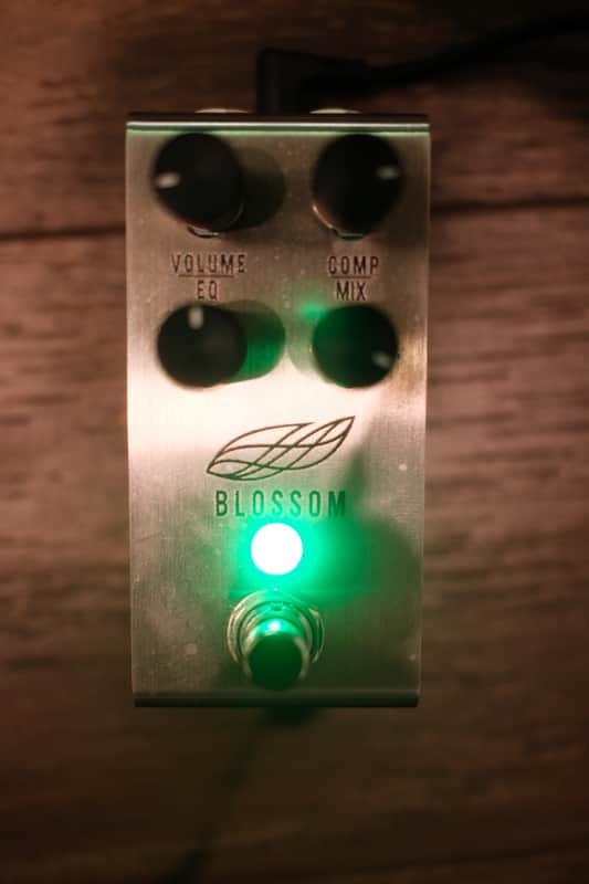 Jackson Audio Blossom