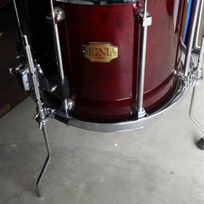 Premier Signia Maple Drum Kit image 5