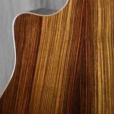2010 Breedlove Special Edition Focus D image 5