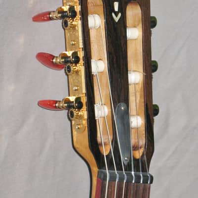 Handmade Crossover Classical Guitar, Flying V, + Pickup & Gigbag image 4