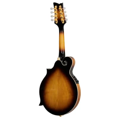 Ortega RMFE90TS F-Style Series Solid Spruce Top Maple Neck 8-String Acoustic-Electric Mandolin w/Deluxe Gig Bag image 7
