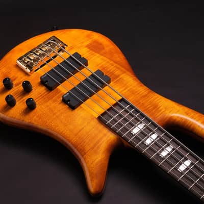 Spector Limited Edition Euro 5 LX 2026 - Amber burst image 3