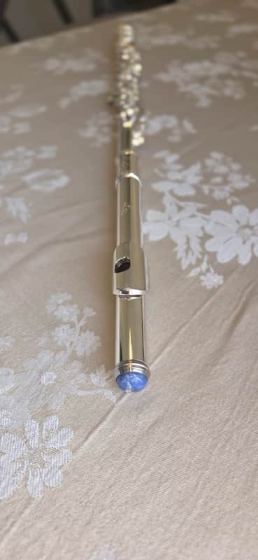Professional Flute Mio M8 open hole- Sterling silver image 1