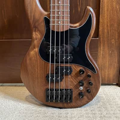 Alien Audio Constellation 2023 Walnut/Maple/Rosewood — Nordstrand equipped 5 string bass guitar image 1