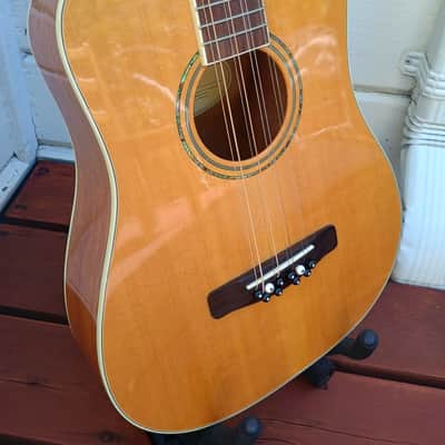 Octave Mandolin/8-String Tenor Converted Mitchell Travel Guitar, Solid Top image 2