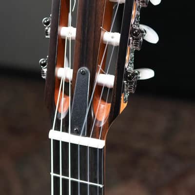 Taylor 214ce-N Nylon Grand Auditorium Acoustic/Electric Guitar with Gig Bag image 6