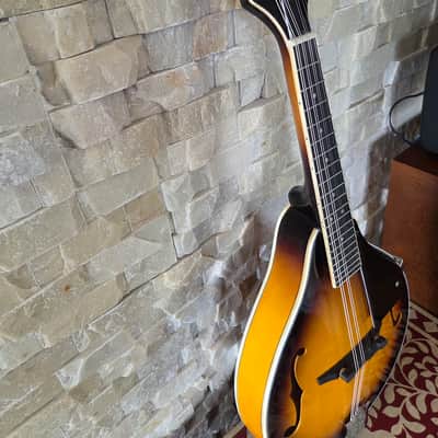 Hola! HM SB with gig bag image 6