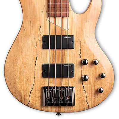 ESP LTD B-204SM FRETLESS Natural Satin image 1