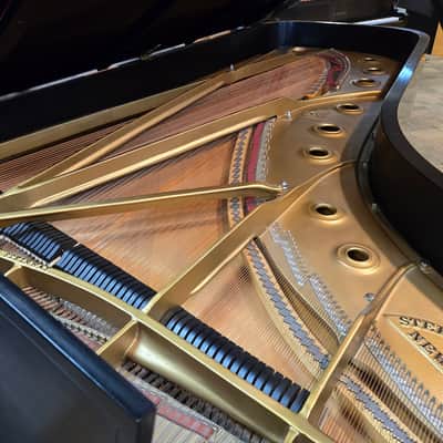 Steinway & Sons 9ft Model D 1974 - Satin Ebony image 5
